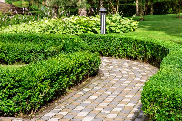 Cost of Paved Landscaping in Alexandria