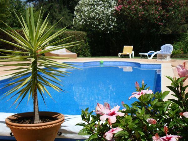 Cost of Pool Terrace Renovation in Alexandria