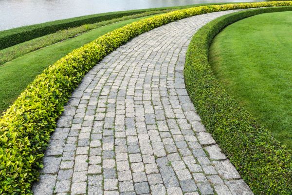 Sidewalk Pavers Installation in Alexandria